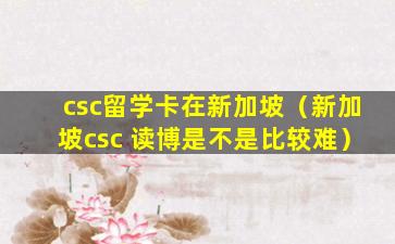 csc留学卡在新加坡（新加坡csc 读博是不是比较难）